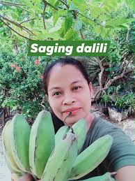 Saging dalili ni nanay yoly ubod ng laki."💚💚 #sagingisLife #sagingdalili  #provincelife