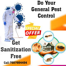 Find a pest exterminator near me. Top 100 Residential Pest Control Services In Pune Best Pest Control Services Justdial