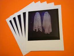 Here you can find different types of flower pictures, among them red flowers, white flowers, rose flowers, spring flowers, flower wallpapers and other flower images. 5 Beetlejuice Polariod Type Ghost Photo Photos Handbook For Etsy In 2021 Beetlejuice Halloween Ghost Photos Beetlejuice