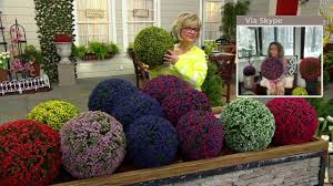 Check spelling or type a new query. Wicker Park Set Of 2 11 13 15 Indoor Outdoor Faux Spheres On Qvc Youtube