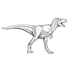 Press space to start the game online and jump your dino, use down arrow (↓) to duck. Dinosaurs Coloring Pages Leuk Voor Kids