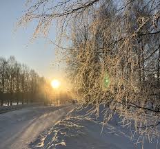 You've got to go to a brewery, such as one of these four delicious craft breweries in helsinki, finland, to try it. 4 Dinge Die Mich In Finnland Immer Noch Studium Studieren Weltweit