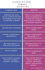 Difference Between Camouflage And Mimicry Definition Types Examples And Differences