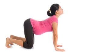 Teknik senaman ibu mengandung | mhi (10 ogos 2020). Senam Aman Untuk Ibu Hamil Merries Popok Bayi No 1 Di Jepang