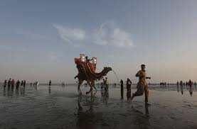 Except it was 35 camels. A Man Leads A Camel With Children Taking A Ride On It Along The Clifton Beach In Karachi Pakistan The World From Prx