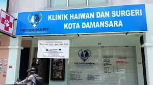 Jun 17, 2021 · bila ada haiwan yang sakit, kita akan hantar ke klinik bagi mendapatkan pemeriksaan dan rawatan serta menjaganya sehingga pulih, katanya kepada sinar harian di sini pada rabu. 2021 Guide 10 Best Vet Clinics In Kl And Selangor