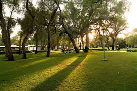 Explore all of nevada's parks here. Parks In Dubai Are To Reopen In A Three Phase Plan News Time Out Dubai