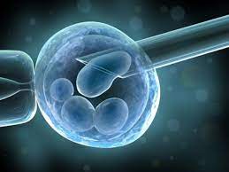 Donating eggs has been described as one of the most powerful and rewarding decisions a woman can make, and we hope you choose to become an egg donor. How To Donate Eggs For Money Wehavekids