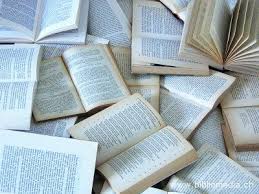 Quest'anno si celebra la 25esima giornata mondiale del libro e del diritto d'autore. Cnddu Giornata Mondiale Del Libro E Del Diritto D Autore 2020 Valorizziamo La Lettura