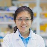 Staff Profile, City University of Hong Kong