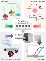 This test actually detects rna (or genetic material) that is specific to the virus and can detect the virus within days of infection, even those who have no symptoms. A Blueprint For Academic Laboratories To Produce Sars Cov 2 Quantitative Rt Pcr Test Kits Journal Of Biological Chemistry