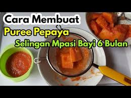 Manfaat buah naga untuk bayi 6 bulan. Resep Mpasi Bayi 6 Bulan Pertama Puree Buah Pepaya Youtube