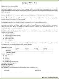 Executive Summary Template Executive Summary Template Executive Summary Example Executive Summary