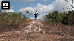 Mission to complete deceased Japanese artist's 82m 'wild rice' granite hill  carving