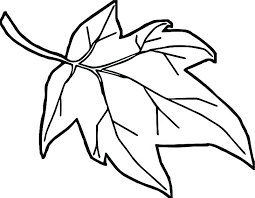 We did not find results for: Outline Pumpkin Leaf Drawing Novocom Top