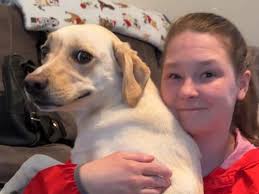 Fundraiser for Brittany Capps by Danielle Rayburn : Ease Brittany Capps'  Financial Burden