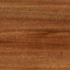 European Oak Veneer Texture Wood 024v2 Arroway Textures See more ideas about wood map, wood texture, wood.