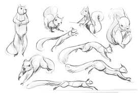 I Character Design References Find More At Https Www Facebook Com Characterdesignreferences If You Re Looking Animal Drawings Cute Drawings Animal Sketches