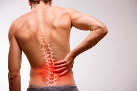 Image result for Low Back Pain Management