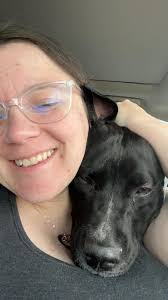 Missing black Australian Shepherd puppy in Friendly Hills