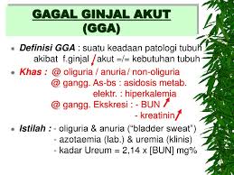 1.4 manfaat penelitian hasil penelitian ini. Gagal Ginjal Pada Bayi Anak Ppt Download