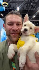 Shelby Asher's Instagram, Twitter & Facebook