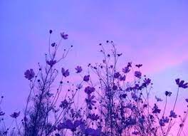 40,000+ high quality wallpapers & backgrounds. Purple And Blue Aesthetic