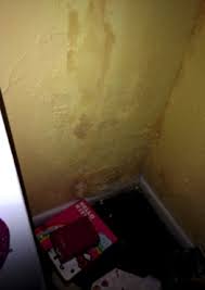 Maybe you would like to learn more about one of these? Water Leak In Wall Finding The Leak Preventing Mold