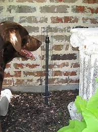 Sprinkler Guard For Protection From Dogs Chewing Sprinkler And Riser Ebay Sprinkler Dogs Diy Backyard