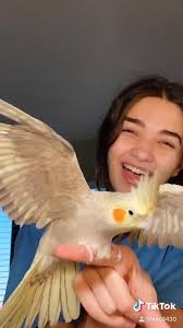 Lala Tv and Her Bird Coco