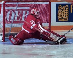 Jun 11, 2021 · a comprehensive database of more than 16 toronto maple leafs quizzes online, test your knowledge with toronto maple leafs quiz questions. Dear Red Wings Quiz Goalies Trivia