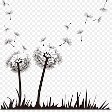 Flowers vector art free vector. Black And White Flower