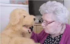 Robot dog lends a helping paw to dementia sufferers