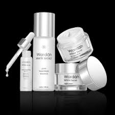 Tapi sebelum itu saya sarankan kalian harus ketahui dulu apa saja tugas spg. Wardah Beauty Cosmetics Indonesia