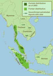 Native americans do not believe that people can own land, but that all beings share the bounties of earth and take what they need. Usa University Tanah Melayu Real Promising Land