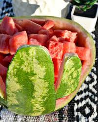 They rushed home, dying of thirst, and decided to divide the berry, however pete and billy are great fans of even numbers, that's why they want to divide the watermelon in such a way that each of the two parts weighs even number. Saguaro Cactus Watermelon Bowl Brie Brie Blooms