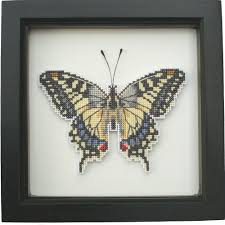 Though the majority are tropical, members of the family inhabit every continent except antarctica. Cross Stitch Ann S Orchard Needlework