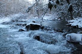Maybe you would like to learn more about one of these? Monongahela National Forest A West Virginia National Forest