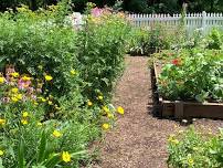 Garden Party