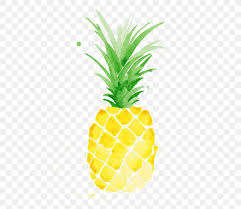 Download Watercolor Painting Pineapple Drawing Printmaking Png 570x713px Watercolor Painting Ananas Art Bromeliaceae Color Download Free