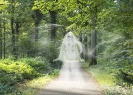 The Mysterious Ghostly Whistle People Of Indonesia Mysterious Universe Mysterious Universe Supernatural Beings Indonesia