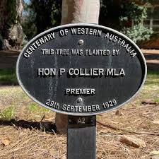 FA2: Phillip Collier,