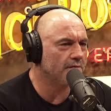Dr. Rhonda Patrick Just Set Joe Rogan Straight