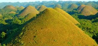 They are covered in green grass that turns brown during the dry season, hence the name. Bohol Chocolate Hills Philippinen Nationalpark Bohol State Park Bohol State Parks Bohol National Parks Bohol
