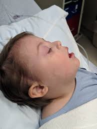 Fundraiser for Nicholas Cockerham by Bree Mathes : Support for Django and  The Cockerham Family