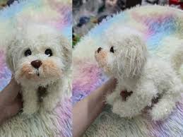 Custom Crochet Dog, Custom Stuffed Dog, Custom Dog Memorial, Look Alike  Dog, Personalized Dog, Gift for Dog Lover, Custom Stuffed Pet