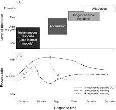 We did not find results for: Plant Respiration And Photosynthesis In Global Scale Models Incorporating Acclimation To Temperature And Co2 Smith 2013 Global Change Biology Wiley Online Library