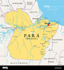 Amazonas river map hi-res stock photography and images - Alamy