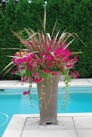 Maybe you would like to learn more about one of these? Tall Flower Pots Ideas On Foter