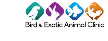 And together, we will help your pet live the longest, happiest, healthiest life by your side possible. Bird And Exotic Animal Clinic Reviews Facebook
